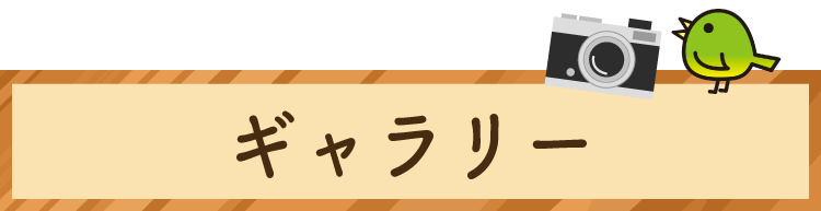 ギャラリー
